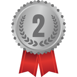 Platz 2 Badge
