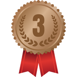 Platz 3 Badge